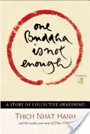 Un bouddha ne suffit pas : L'histoire d'un éveil collectif - One Buddha Is Not Enough: A Story of Collective Awakening