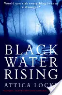 L'eau noire monte - Black Water Rising