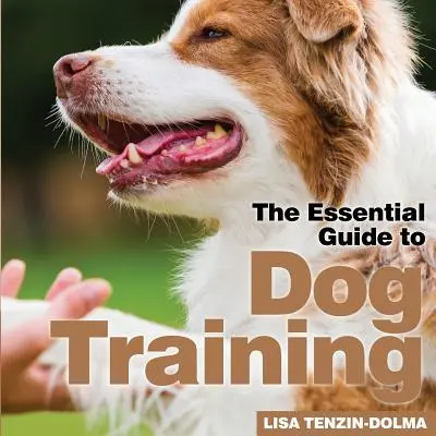 Entraînement des chiens - Dog Training