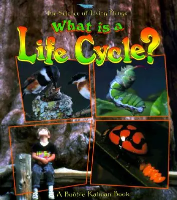 Qu'est-ce qu'un cycle de vie ? - What Is a Life Cycle?