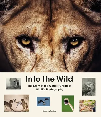 Into the Wild : The Story of the World's Greatest Wildlife Photography (En pleine nature : l'histoire de la plus grande photographie de faune et de flore sauvages au monde) - Into the Wild: The Story of the World's Greatest Wildlife Photography