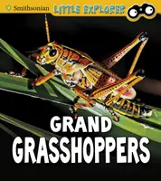 Grandes sauterelles - Grand Grasshoppers