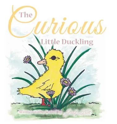 Le curieux petit canard - The Curious Little Duckling