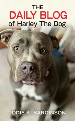 Le blog quotidien de Harley The Dog - The Daily Blog of Harley The Dog