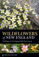 Les fleurs sauvages de la Nouvelle-Angleterre - Wildflowers of New England