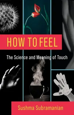 Comment ressentir : la science et la signification du toucher - How to Feel: The Science and Meaning of Touch