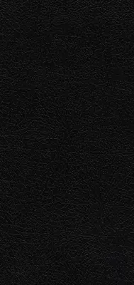 Niv, Pocket Thinline Bible, Bonded Leather, Black, Red Letter, Comfort Print