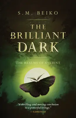 L'obscurité brillante : Les royaumes des anciens, livre 3 - The Brilliant Dark: The Realms of Ancient, Book 3