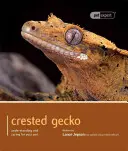 Gecko à crête : Comprendre et soigner son animal de compagnie - Crested Gecko: Understanding and Caring for Your Pet