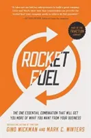 Rocket Fuel : La seule combinaison essentielle qui vous permettra d'obtenir plus de ce que vous voulez de votre entreprise - Rocket Fuel: The One Essential Combination That Will Get You More of What You Want from Your Business