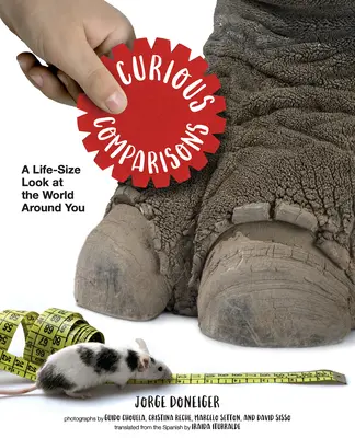 Curieuses comparaisons : Un regard grandeur nature sur le monde qui vous entoure - Curious Comparisons: A Life-Size Look at the World Around You