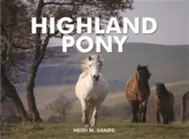 L'esprit du poney des Highlands - Spirit of the Highland Pony