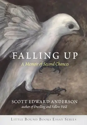 Falling Up : Une mémoire des secondes chances - Falling Up: A Memoir of Second Chances