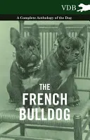 Le bouledogue français - Une anthologie complète du chien - The French Bulldog - A Complete Anthology of the Dog