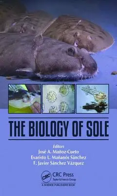 La biologie de la sole - The Biology of Sole