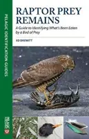 Raptor Prey Remains : Un guide pour identifier ce qui a été mangé par un oiseau de proie - Raptor Prey Remains: A Guide to Identifying What's Been Eaten by a Bird of Prey
