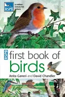 Le premier livre des oiseaux de la RSPB - RSPB First Book Of Birds