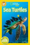 Tortues de mer - Sea Turtles