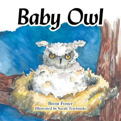Bébé chouette - Baby Owl