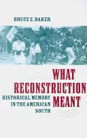 Le sens de la reconstruction : la mémoire historique dans le Sud américain - What Reconstruction Meant: Historical Memory in the American South