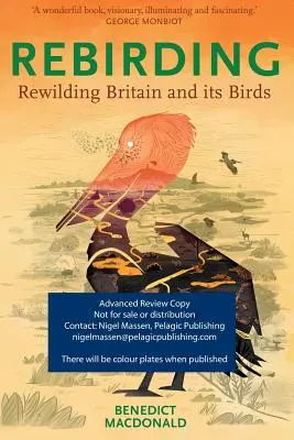 Rebirding : Reconstruire la Grande-Bretagne et ses oiseaux - Rebirding: Rewilding Britain and Its Birds