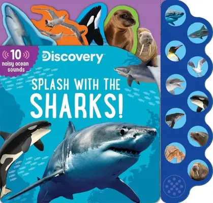 Découverte : Splash avec les requins ! - Discovery: Splash with the Sharks!