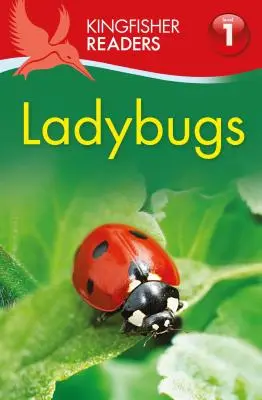 Les coccinelles - Ladybugs