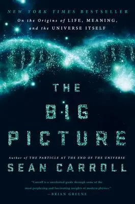 La grande image : Les origines de la vie, du sens et de l'univers lui-même - The Big Picture: On the Origins of Life, Meaning, and the Universe Itself