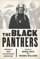 Les Black Panthers : Portraits d'une révolution inachevée - The Black Panthers: Portraits from an Unfinished Revolution