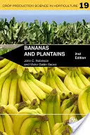 Bananes et plantains - Bananas and Plantains