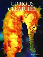 Créatures curieuses - Curious Creatures