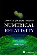 Relativité numérique - Numerical Relativity