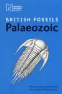 Fossiles paléozoïques britanniques - British Palaeozoic Fossils