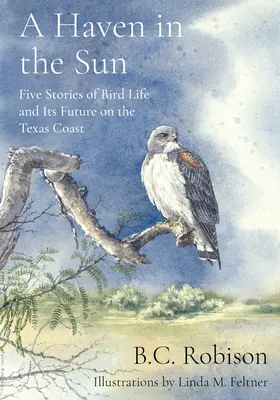 Un refuge au soleil : Cinq histoires sur la vie des oiseaux et leur avenir sur la côte du Texas - A Haven in the Sun: Five Stories of Bird Life and Its Future on the Texas Coast