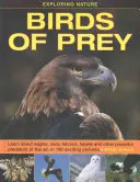 Exploration de la nature : Oiseaux de proie : Découvrez les aigles, les hiboux, les faucons, les éperviers et autres puissants prédateurs de l'air, en 190 images passionnantes. - Exploring Nature: Birds of Prey: Learn about Eagles, Owls, Falcons, Hawks and Other Powerful Predators of the Air, in 190 Exciting Pictures