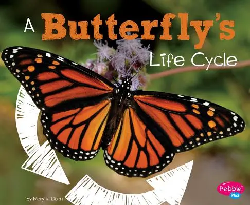 Le cycle de vie d'un papillon - A Butterfly's Life Cycle