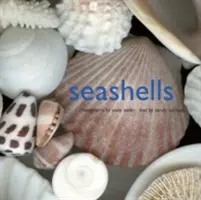 Coquillages - Seashells