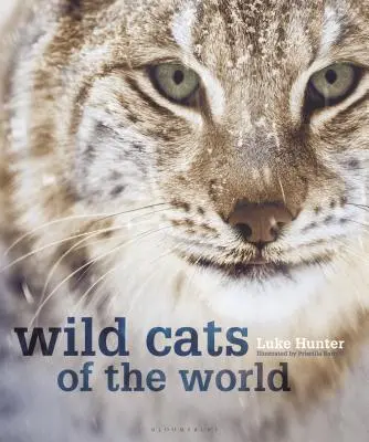 Chats sauvages du monde - Wild Cats of the World