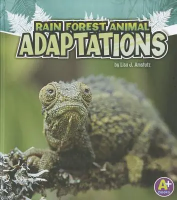 Adaptations des animaux de la forêt tropicale - Rain Forest Animal Adaptations