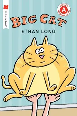 Gros chat - Big Cat