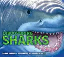 A la découverte des requins - Discovering Sharks