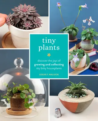 Tiny Plants : Découvrez les joies de la culture et de la collection de plantes d'intérieur minuscules - Tiny Plants: Discover the Joys of Growing and Collecting Itty-Bitty Houseplants