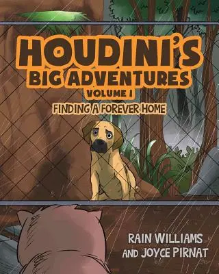 Les grandes aventures d'Houdini : Trouver un foyer pour toujours - Houdini's Big Adventures: Finding a Forever Home