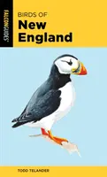 Oiseaux de la Nouvelle-Angleterre - Birds of New England