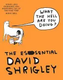 Qu'est-ce que vous faites ? L'essentiel de David Shrigley - What The Hell Are You Doing?: The Essential David Shrigley