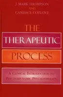 Le processus thérapeutique : Une introduction clinique à la psychothérapie psychodynamique - The Therapeutic Process: A Clinical Introduction to Psychodynamic Psychotherapy