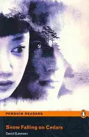 Niveau 6 : La neige tombe sur les cèdres - Level 6: Snow Falling on Cedars