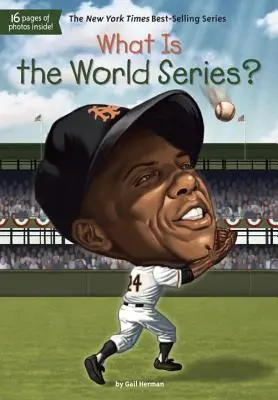 Qu'est-ce que les World Series ? - What Is the World Series?