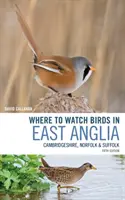Où observer les oiseaux en East Anglia : Cambridgeshire, Norfolk et Suffolk - Where to Watch Birds in East Anglia: Cambridgeshire, Norfolk and Suffolk
