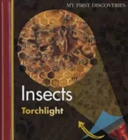 Insectes - Insects